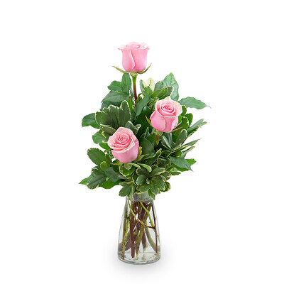 Pink Roses (3) from Scott's House of Flowers in Lawton, OK