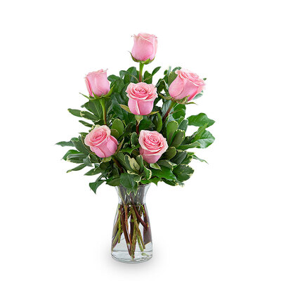 Pink Roses (6) (HDOZ) from Scott's House of Flowers in Lawton, OK