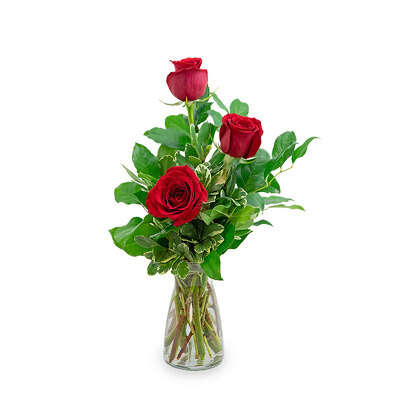 Red Roses (3) from Scott's House of Flowers in Lawton, OK