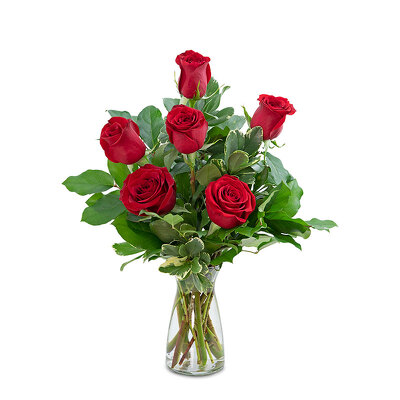 Red Roses (6) HDOZ from Scott's House of Flowers in Lawton, OK