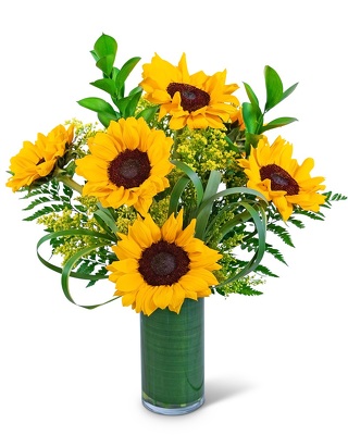 Ray of Golden Sunflowers from Scott's House of Flowers in Lawton, OK