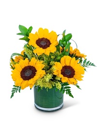 Sunshine Sunflowers from Scott's House of Flowers in Lawton, OK