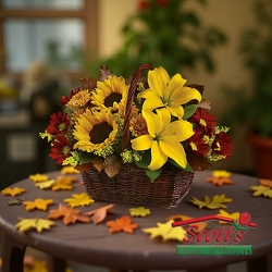 Golden Days Basket from Scott's House of Flowers in Lawton, OK