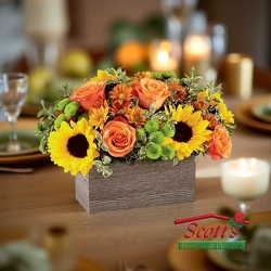 Harvest Hues (F19) from Scott's House of Flowers in Lawton, OK