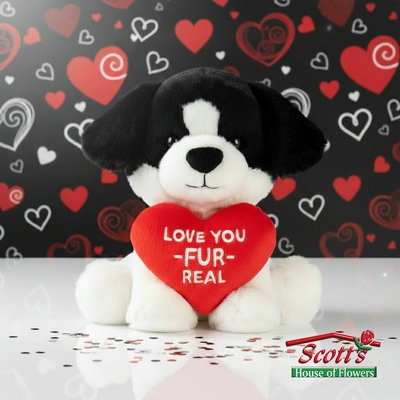 Valentine's Love You Fur Real Plush from Scott's House of Flowers in Lawton, OK