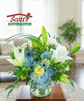 Luna Blue from Scott's House of Flowers in Lawton, OK