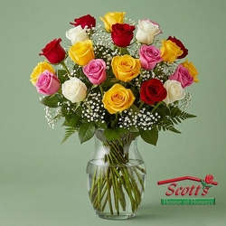 <b>Roses for Mom 2 Doz</b> (M24) from Scott's House of Flowers in Lawton, OK