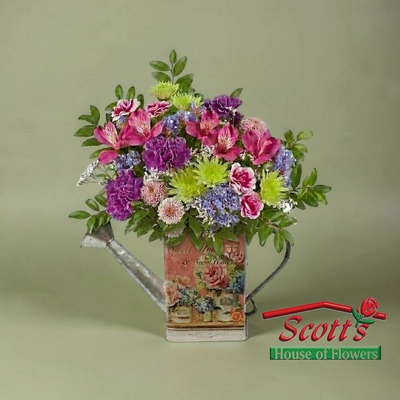 Heritage Garden (M6) from Scott's House of Flowers in Lawton, OK