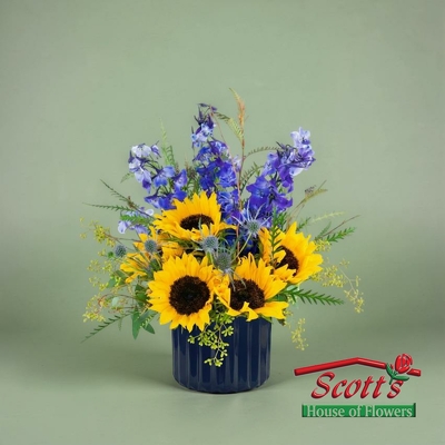 Sunflower Fields (M9)
