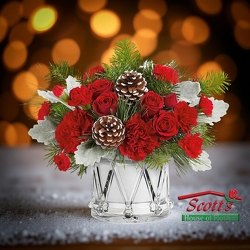 March of Joy (C4) from Scott's House of Flowers in Lawton, OK