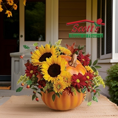 Pretty Pumpkin Bouquet from Scott's House of Flowers in Lawton, OK