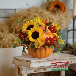 Pretty Pumpkin Bouquet from Scott's House of Flowers in Lawton, OK