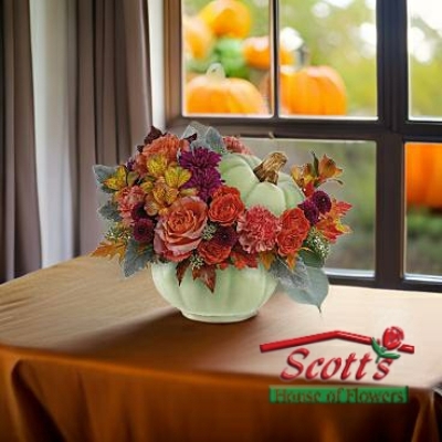 Sage Harvest Pumpkin by Teleflora from Scott's House of Flowers in Lawton, OK