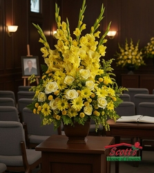 Sunny Memories by Teleflora from Scott's House of Flowers in Lawton, OK