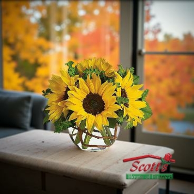 Sunny Sunflowers from Scott's House of Flowers in Lawton, OK