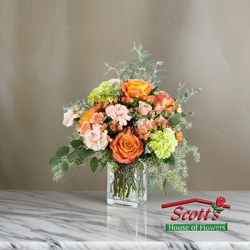 Sweet Caroline from Scott's House of Flowers in Lawton, OK