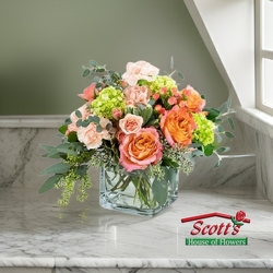 Sweet Charlotte from Scott's House of Flowers in Lawton, OK