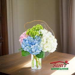 Sweet Hydrangea from Scott's House of Flowers in Lawton, OK