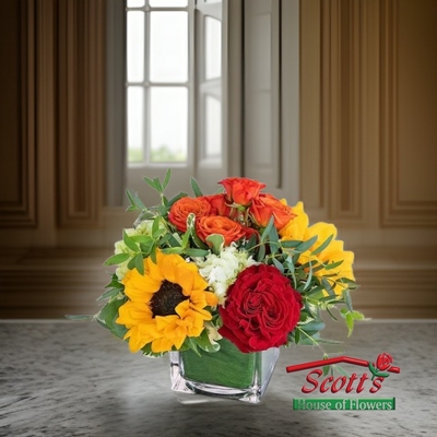 Sweet Savannah from Scott's House of Flowers in Lawton, OK