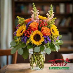 Sunset Bliss  (F2) from Scott's House of Flowers in Lawton, OK