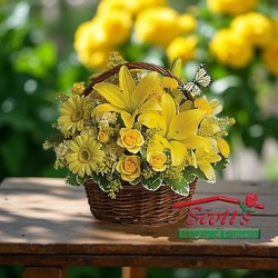 Basket Full of Wishes from Scott's House of Flowers in Lawton, OK