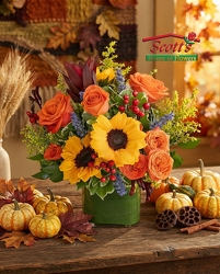 Tuscan Treasure (F16)  from Scott's House of Flowers in Lawton, OK