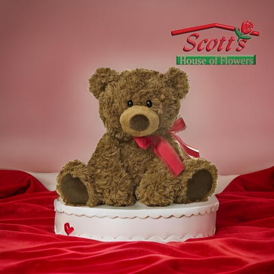 Valentine Bear (Brown Bear Red Bow) from Scott's House of Flowers in Lawton, OK