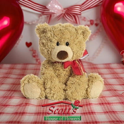 Coco Valentine Bear from Scott's House of Flowers in Lawton, OK