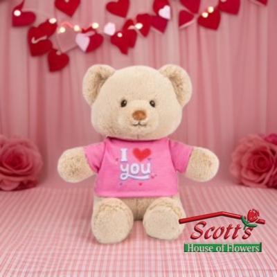 Valentine's I Love You Bear  from Scott's House of Flowers in Lawton, OK