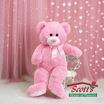 Valentine Plush Pink Bear from Scott's House of Flowers in Lawton, OK