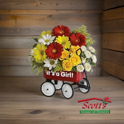 Baby's Wow Wagon - Girl from Scott's House of Flowers in Lawton, OK