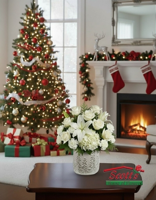 Winter Wonderland (C22) from Scott's House of Flowers in Lawton, OK Winter Wonderland (C22) from Scott's House of Flowers in Lawton, OK