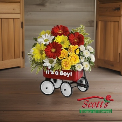 Baby's Wow Wagon - Boy from Scott's House of Flowers in Lawton, OK