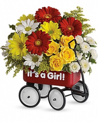 Baby's Wow Wagon - Girl from Scott's House of Flowers in Lawton, OK