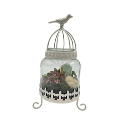 Bird Cage Terrarium from Scott's House of Flowers in Lawton, OK