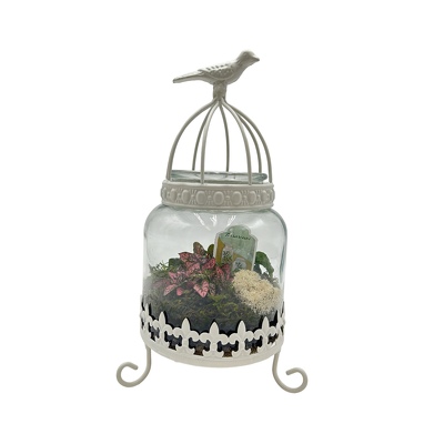 Bird Cage Terrarium from Scott's House of Flowers in Lawton, OK
