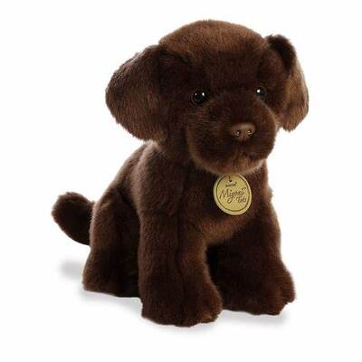 Plush Chocolate Lab from Scott's House of Flowers in Lawton, OK
