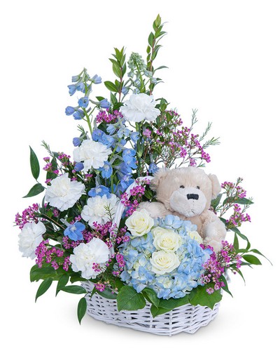 Beary Lovable from Scott's House of Flowers in Lawton, OK