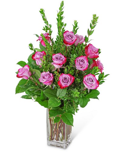 Vibrant Lavender Roses (12) from Scott's House of Flowers in Lawton, OK