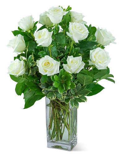 White Roses (12) from Scott's House of Flowers in Lawton, OK