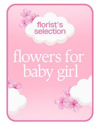 Designer's Choice Baby Girl from Scott's House of Flowers in Lawton, OK