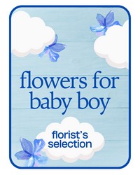 Designer's Choice Baby Boy from Scott's House of Flowers in Lawton, OK