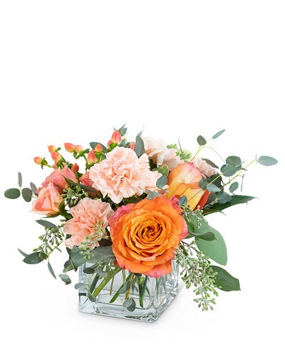 Coral Crush  from Scott's House of Flowers in Lawton, OK
