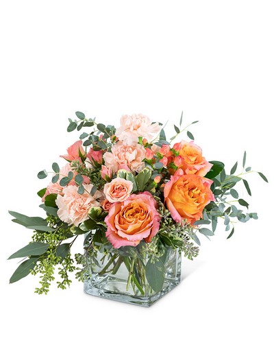 Living Coral from Scott's House of Flowers in Lawton, OK