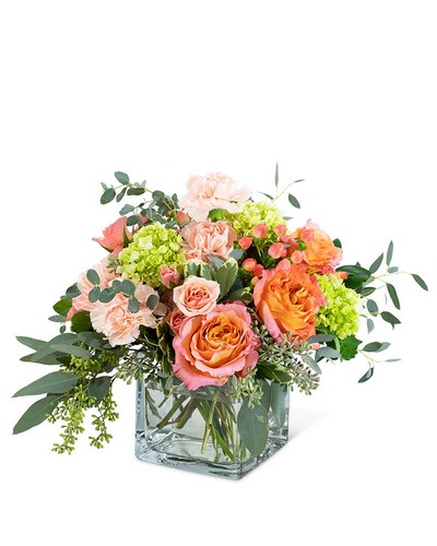 Sweet Charlotte from Scott's House of Flowers in Lawton, OK