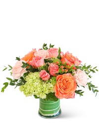 Coral Calma from Scott's House of Flowers in Lawton, OK