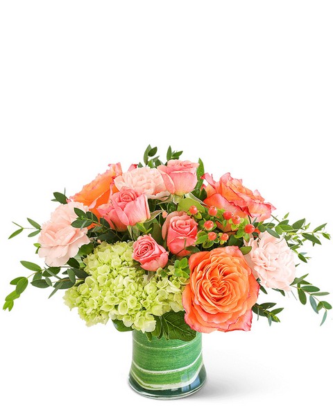Coral Calma from Scott's House of Flowers in Lawton, OK