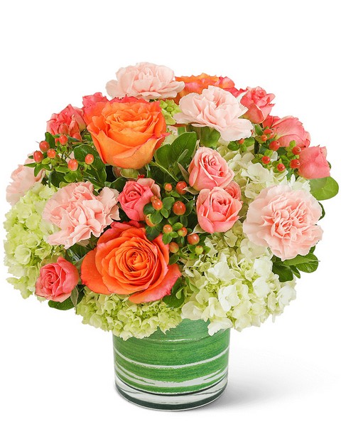 Coral Nectar from Scott's House of Flowers in Lawton, OK