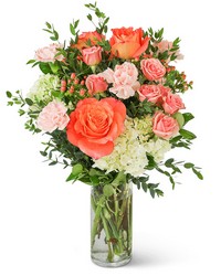 Malibu Paradise from Scott's House of Flowers in Lawton, OK