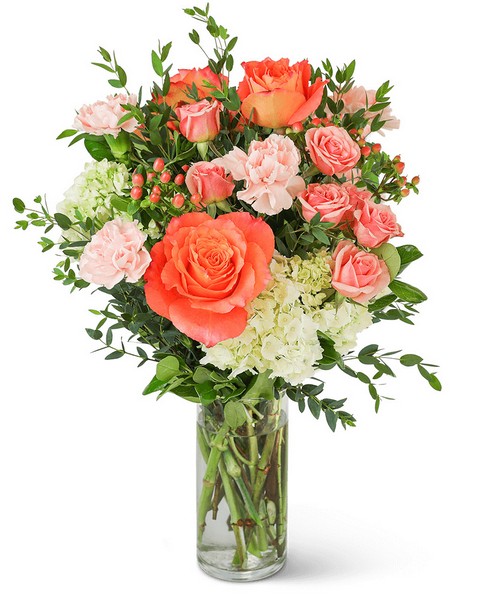 Malibu Paradise from Scott's House of Flowers in Lawton, OK